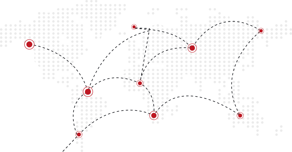 Global service network